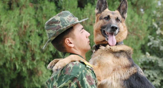 na-torgah-gtsbt-obshaya-summa-sdelok-sostavila-svyshe-7-millionov-763-tysyac-dollarov-ssha