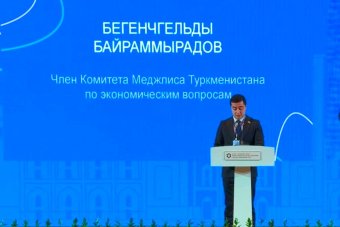 Отмечена важность сотрудничества в ТЭК в формате «Центральная Азия — Китай»