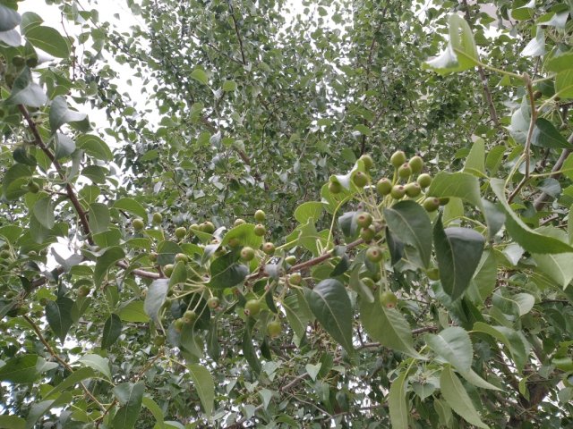 na-torgah-gtsbt-obshaya-summa-sdelok-sostavila-svyshe-7-millionov-763-tysyac-dollarov-ssha