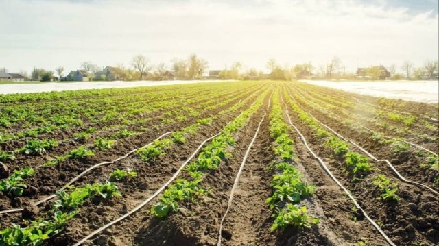 na-torgah-gtsbt-obshaya-summa-sdelok-sostavila-svyshe-7-millionov-763-tysyac-dollarov-ssha