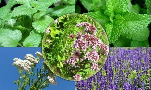 na-torgah-gtsbt-obshaya-summa-sdelok-sostavila-svyshe-7-millionov-763-tysyac-dollarov-ssha