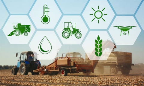 Глава Туркменистана обсудил развитие сельского хозяйства в Марыйском велаяте