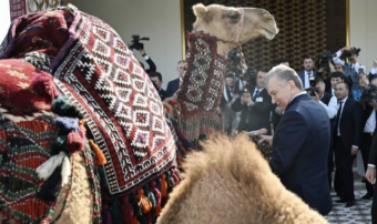 Герой-Аркадаг преподнёс Президенту Узбекистана верблюдицу с верблюжонком