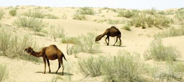 na-torgah-gtsbt-obshaya-summa-sdelok-sostavila-svyshe-7-millionov-763-tysyac-dollarov-ssha