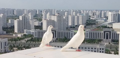 Сцена мечты: студия «ТА-ТаЛ» обрела свой новый дом в Ашхабаде