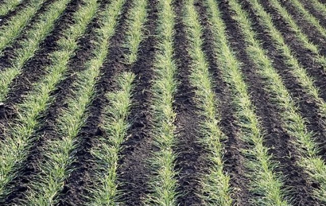 na-torgah-gtsbt-obshaya-summa-sdelok-sostavila-svyshe-7-millionov-763-tysyac-dollarov-ssha