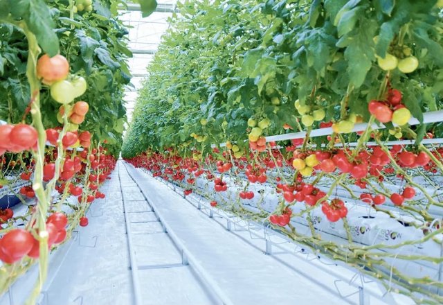 na-torgah-gtsbt-obshaya-summa-sdelok-sostavila-svyshe-7-millionov-763-tysyac-dollarov-ssha